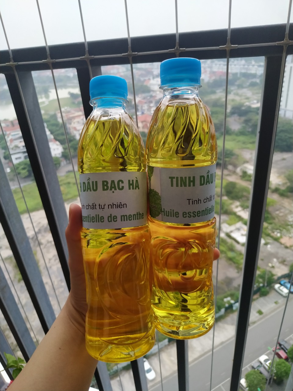 Tinh dầu bạc hà lau nhà, chai 500ml