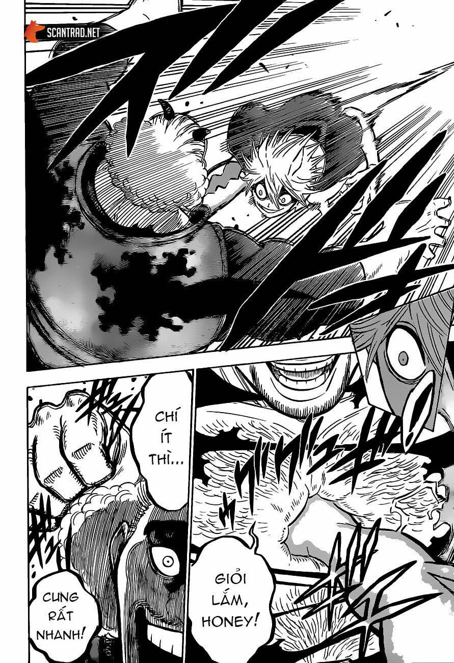 black clover - pháp sư không phép thuật chapter 247 8