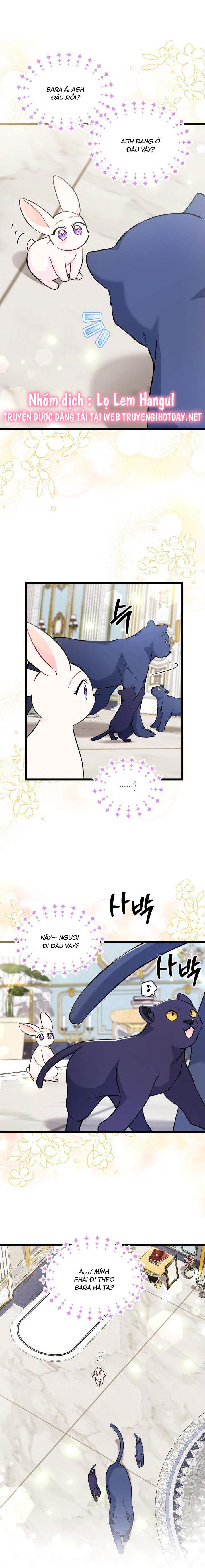 mối liên kết giữa báo đen và bé thỏ chapter 134 10
