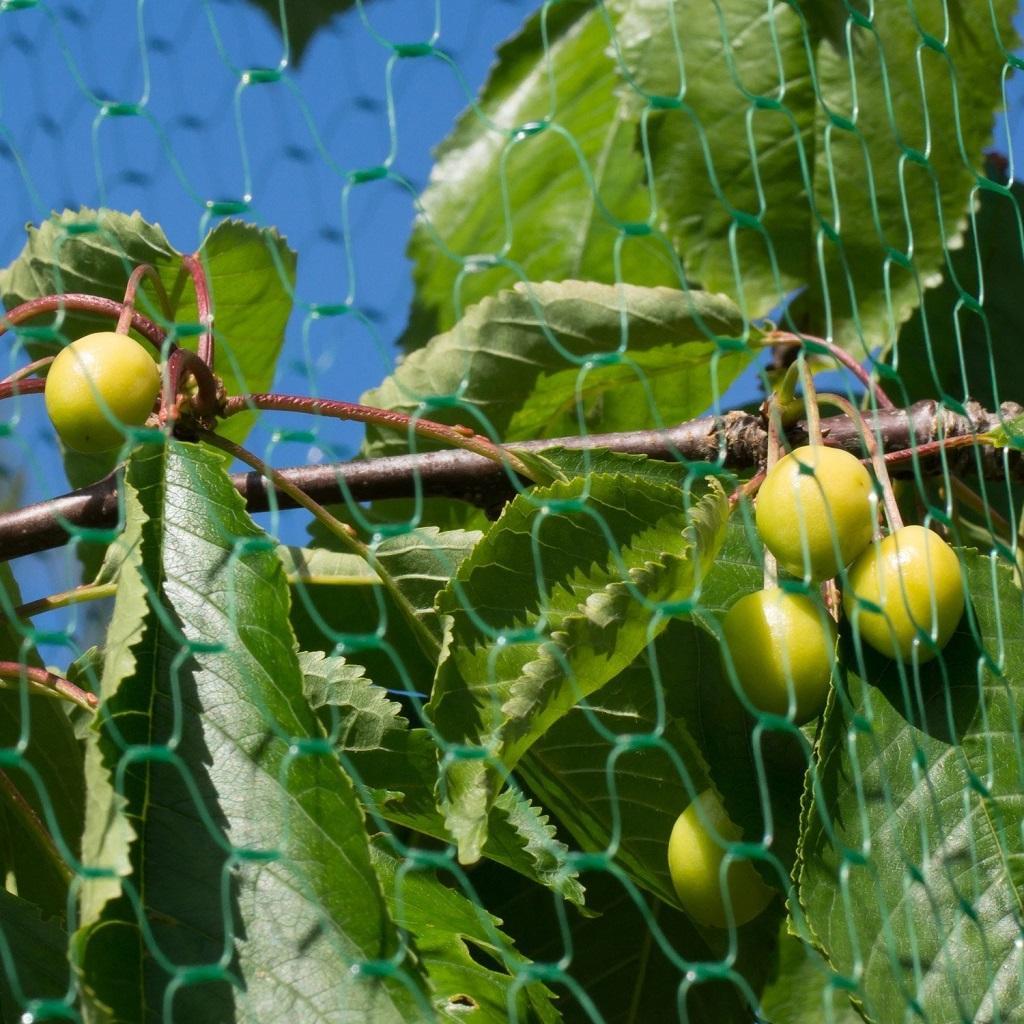 3 Size Anti Bird Net Netting Mesh Protection Plants Veg Crops Garden