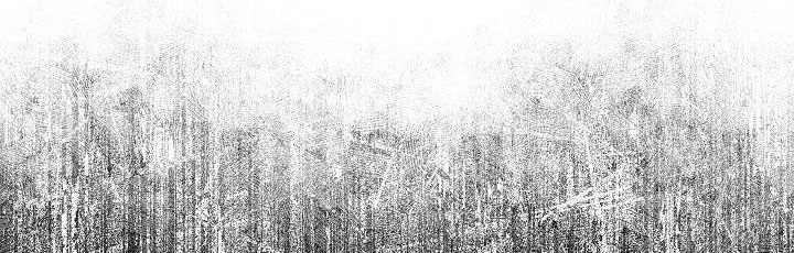 tôi là mẹ kế của nam chính chapter 66.1 156