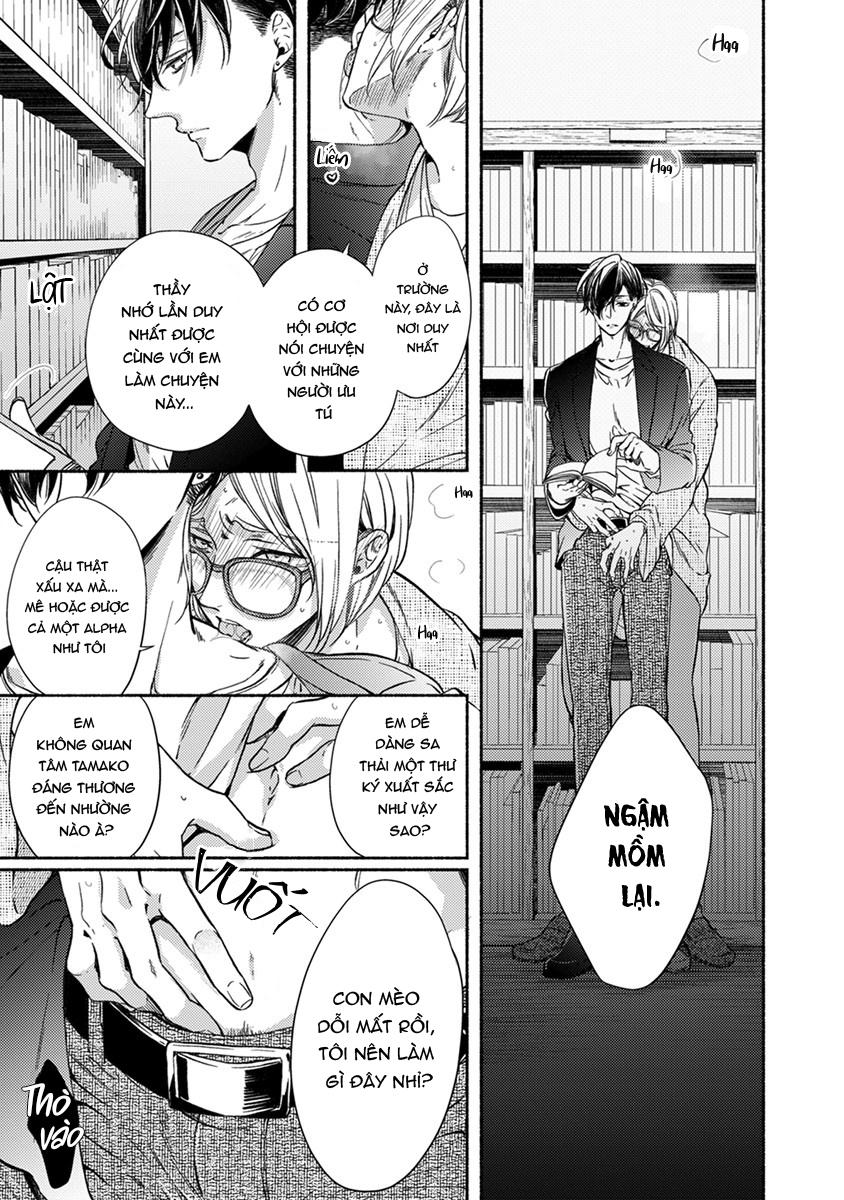 omega giả vờ kiên cường đó là bạn tình của tôi chapter 2 17