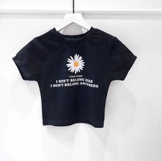 Áo croptop ôm thêu hoa cúc,