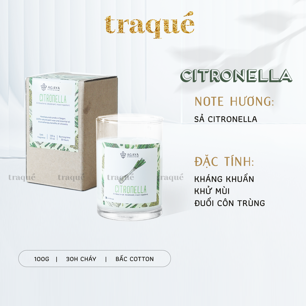 Nến thơm tinh dầu cao cấp không khói an toàn Candle Cup - CITRONELLA/SẢ JAVA - S - 100G (KG NẮP)