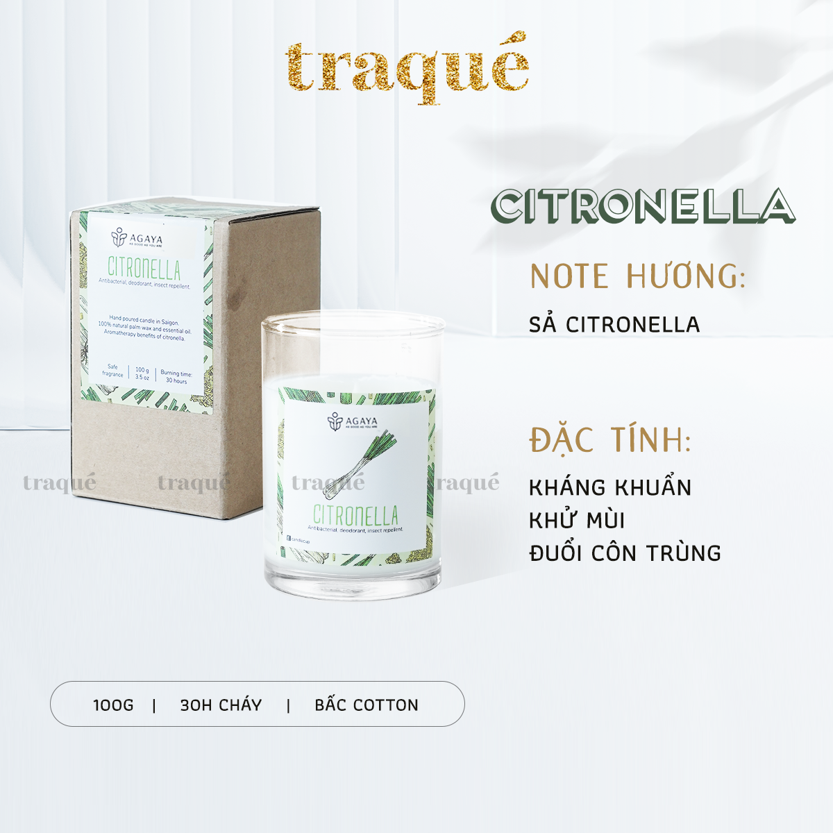 Nến thơm Candle Cup/Agaya - Hương Khử Mùi CITRONELLA