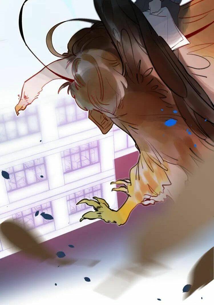 phù thủy hạng bét chapter 6 51