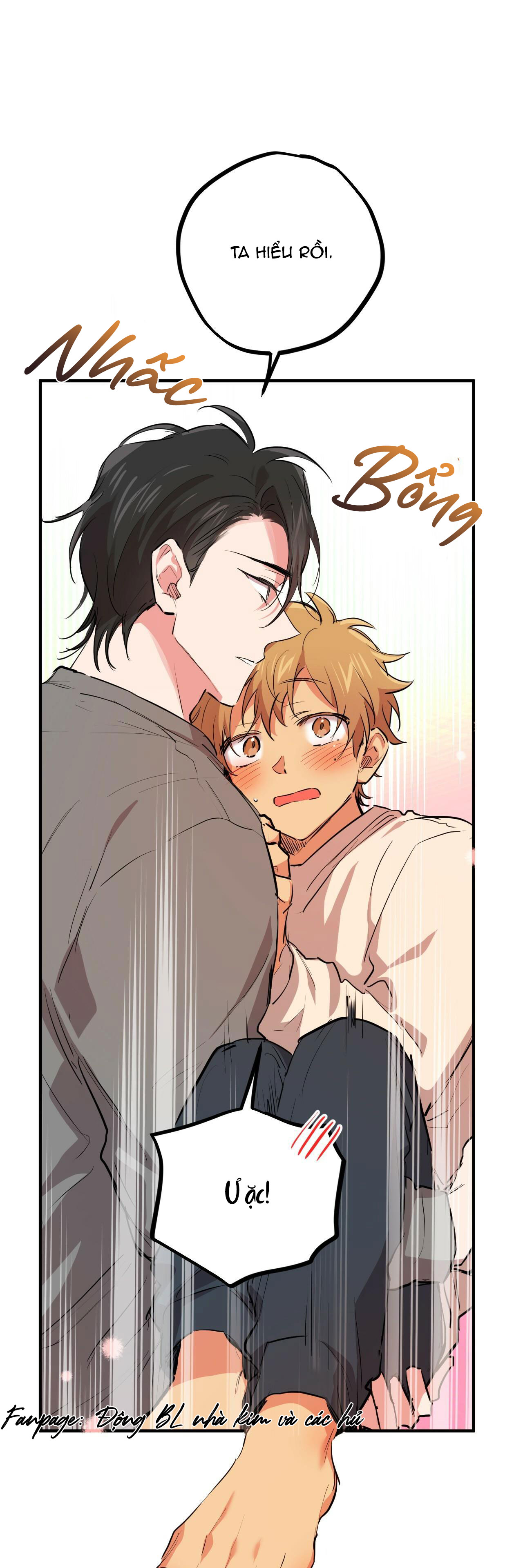 những chú thỏ của hapypy chapter 28 42