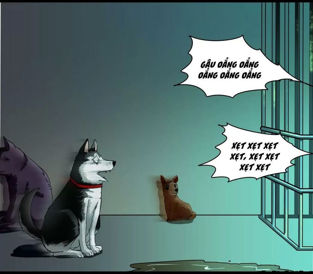 một con chó chapter 58 6