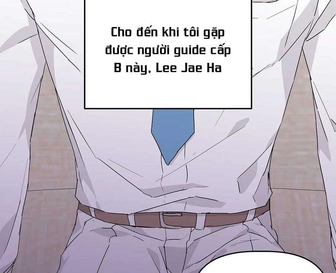 guide cấp b chapter 13 6