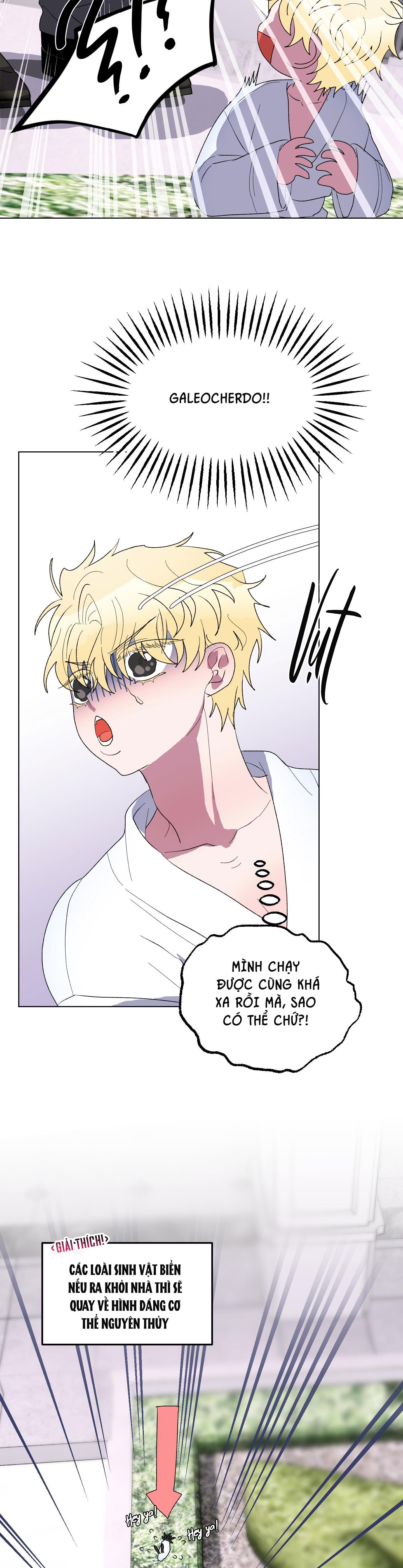 cá mập và cô dâu thỏ chapter 14 16