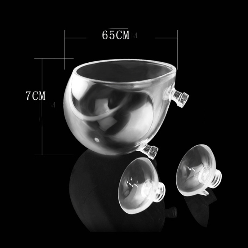 Cốc thủy sinh gắn thành bể trồng cây trang trí trong bể cá cảnh