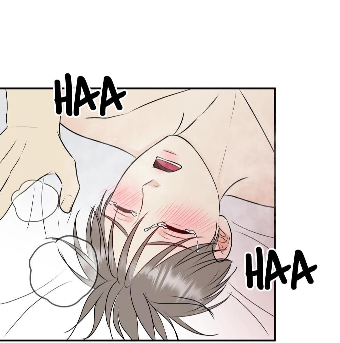 hạnh phúc trọn vẹn chapter 23 28