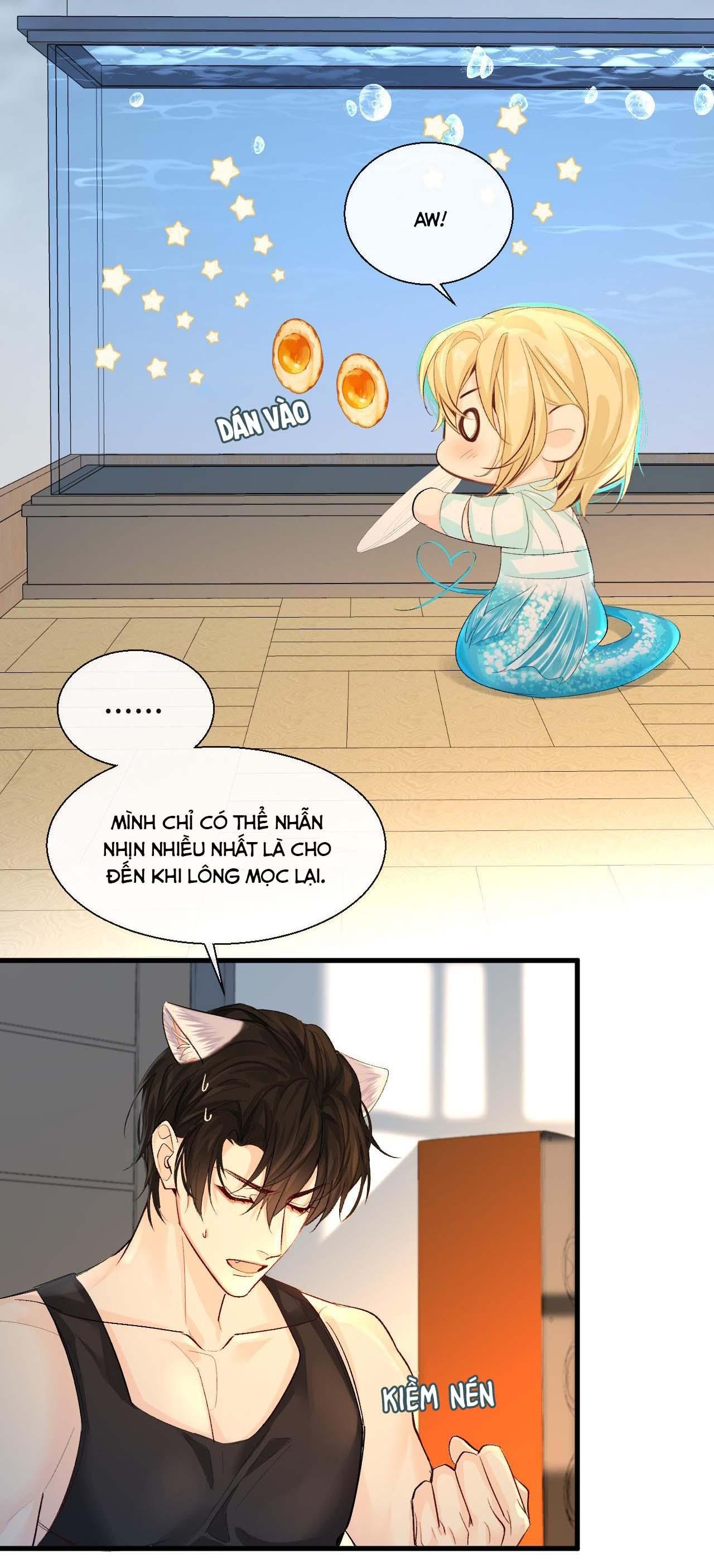 nhân ngư sa ngã chapter 24 10