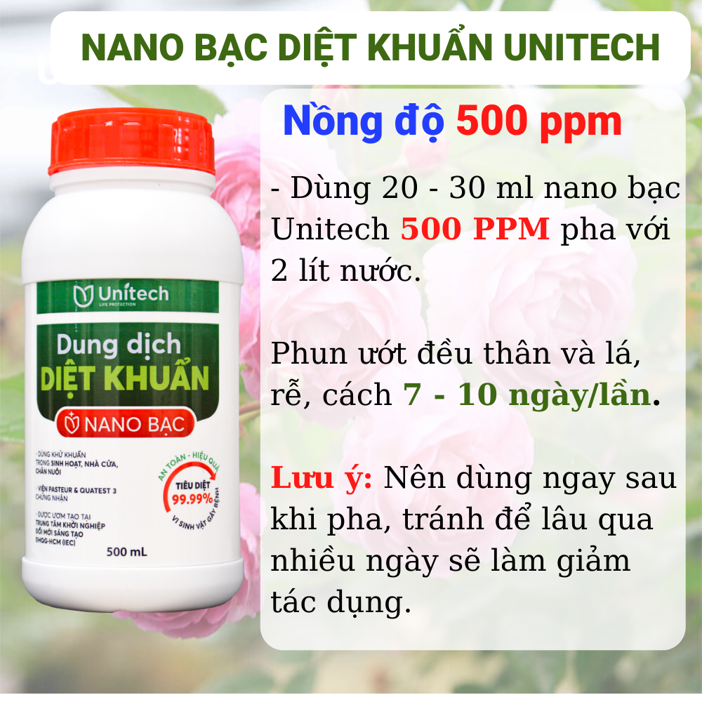 Nano bạc UNITECH nguyên chất, diệt toàn bộ nấm, vi khuẩn gây bệnh thán thư, héo xanh, rỉ sắt, ghẻ trái cho cây