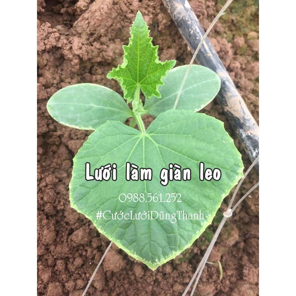 Lưới làm giàn leo 2m x 120m, ô 20cm, giàn dưa chuột, su su, chanh leo, mướp đắng, giàn mướp, giàn hoa thiên lý