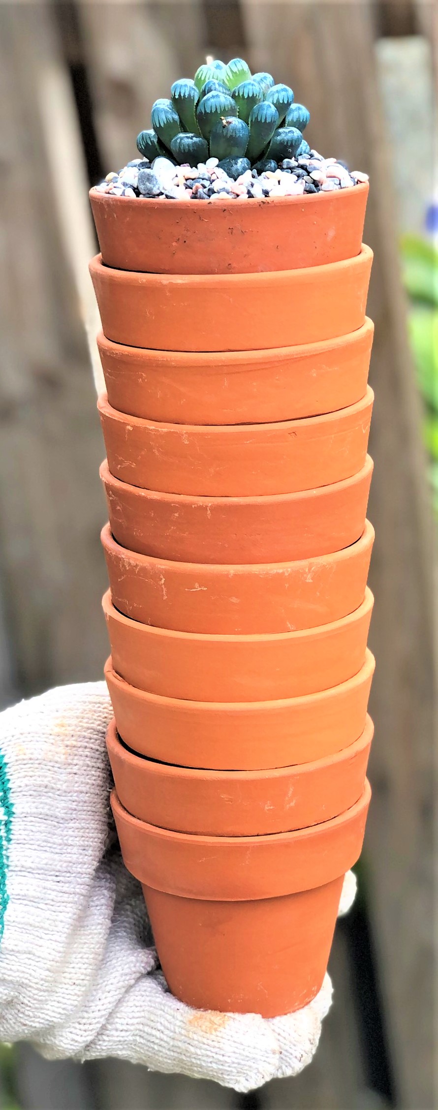 Bộ 10 chậu đất nung trồng xương rồng sen đá Rộng 8 cm x Cao 7 cm