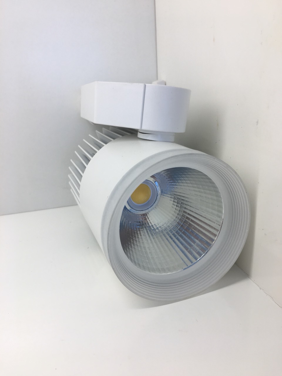Đèn LED Rọi Ray 30W GSRR30 GS Lighting