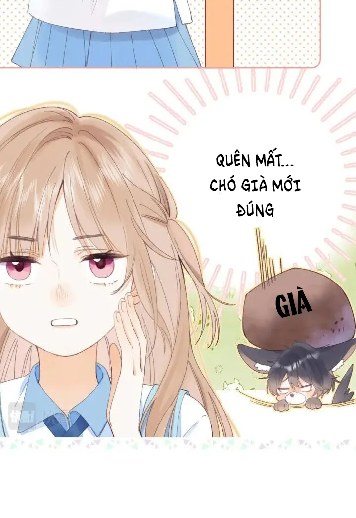 vụng trộm không thể giấu - mối tình thầm kín chapter 4 9