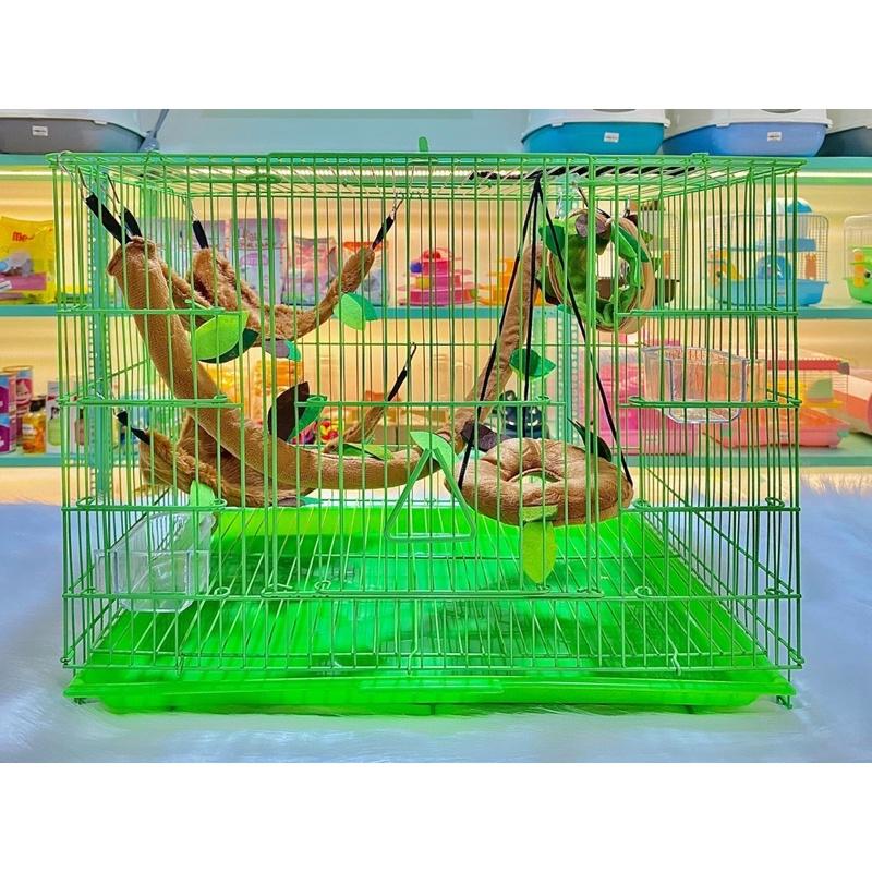 Bộ 5 món set up lồng sóc