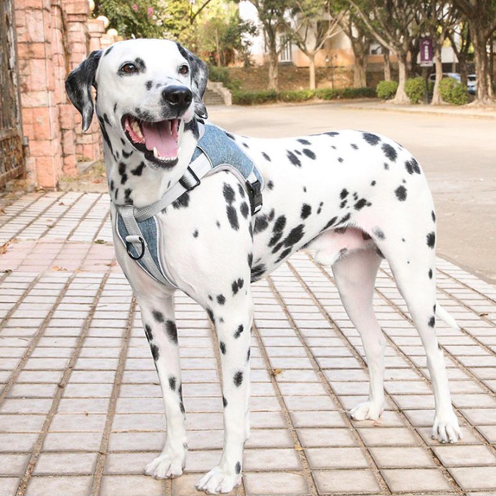 Adjustable Dog Harness Reflective Breathable No Pull Easy to Put on Medium and Large Dogs