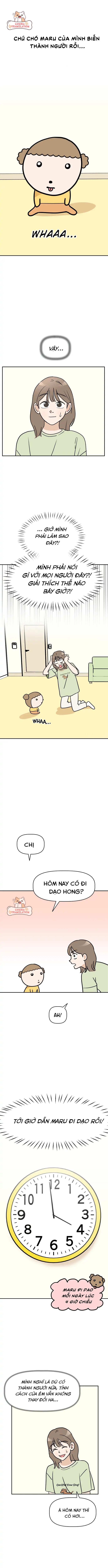 maru là một bé cún chapter 2 1