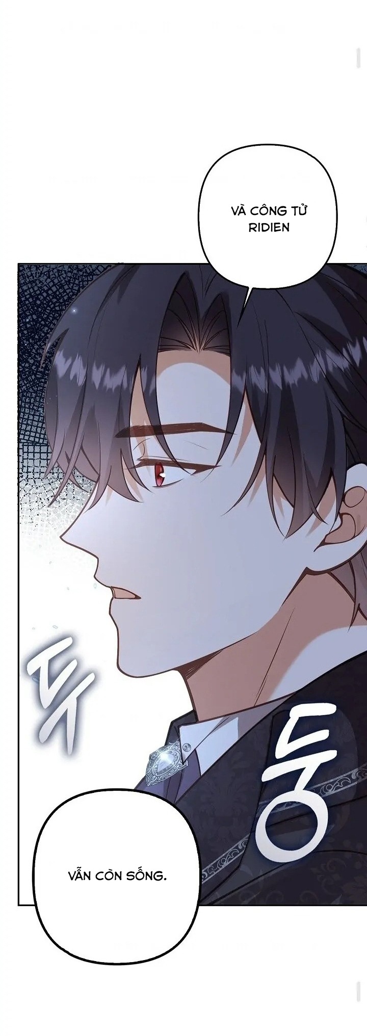 tôi sẽ nuôi dưỡng hai đứa con của nam chính chapter 66 9