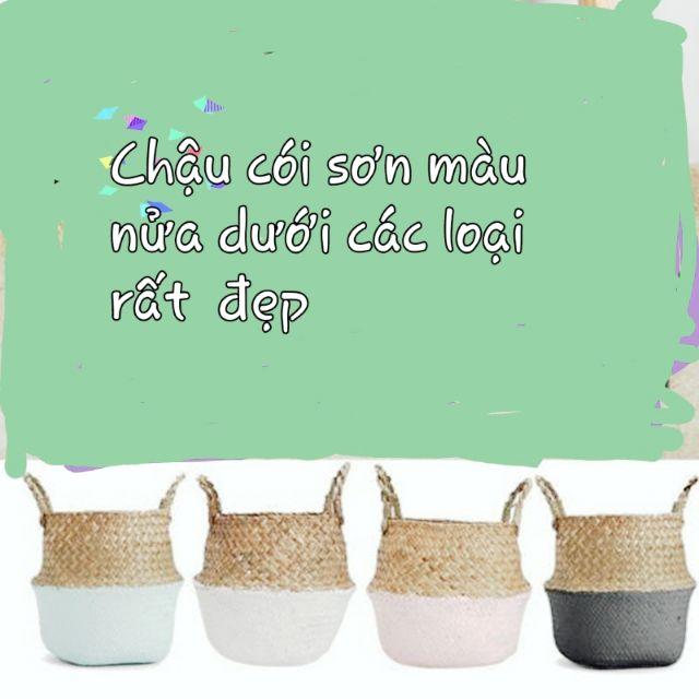 Chậu cói sơn màu nửa 3 chiếc dưới rất đẹp tại nơi sản xuất