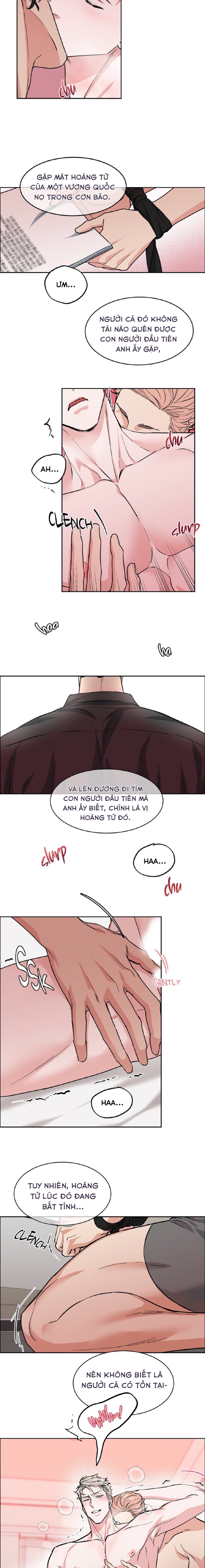 chỉ dành cho người đăng ký chapter 62 12