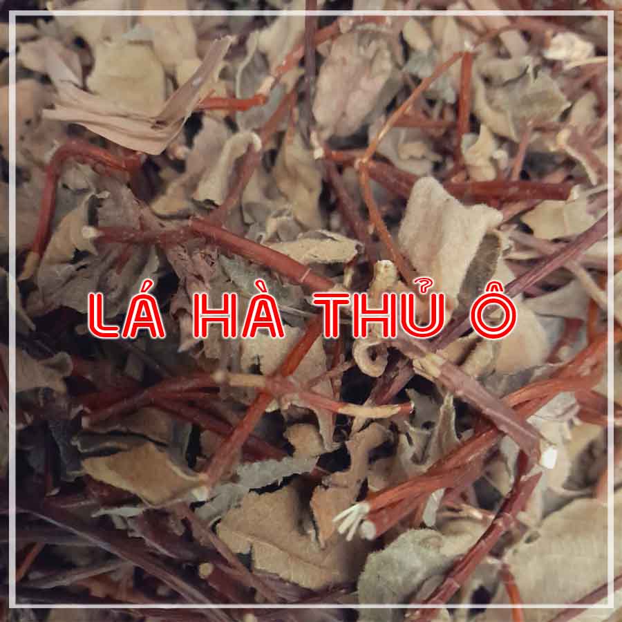 500g Là Hà Thủ Ô (bao gồm lá + dây) khô sạch