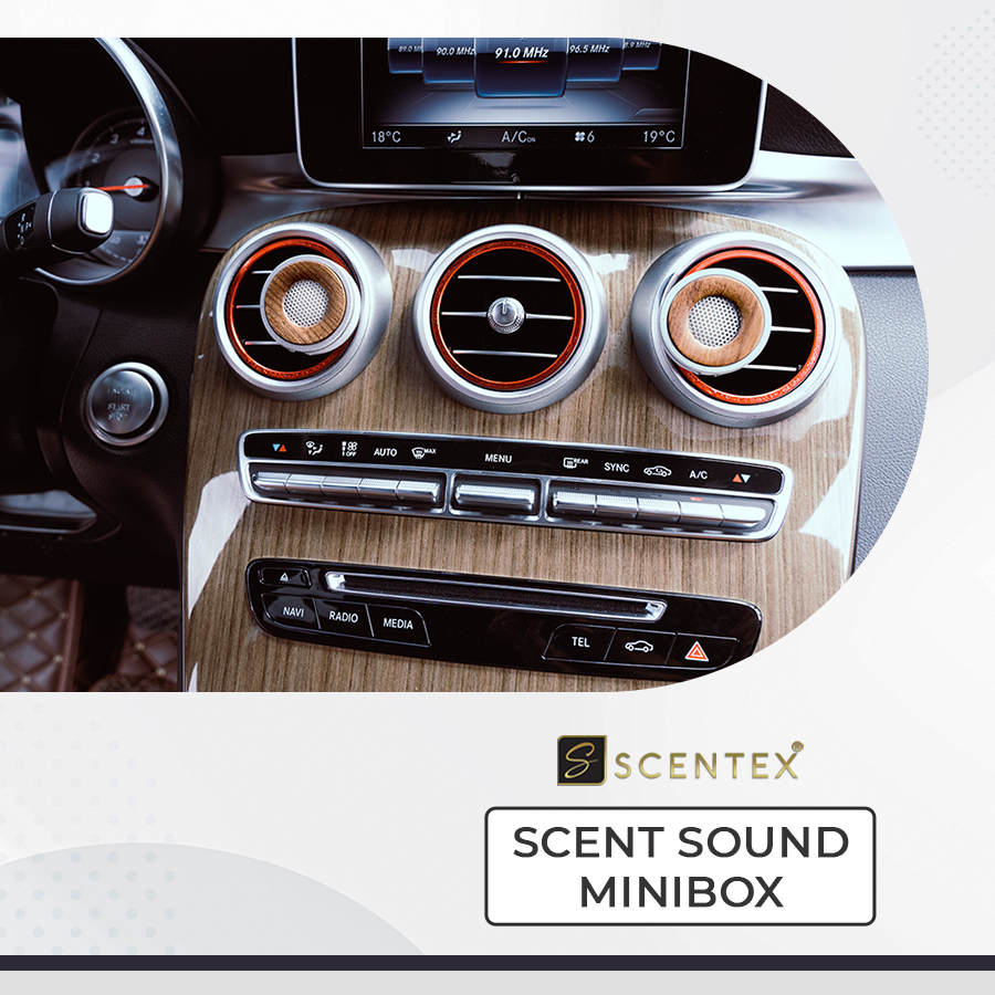 Nước hoa xe hơi cao cấp Scentex SCENT SOUND MINI BOX 100% Organic, được làm từ hợp kim kim ALUMINUM cắt CNC công nghệ cao kết hợp với Gỗ Hoàng Đàn có mùi thơm nức tự nhiên, bên trong ruột bông có thể thấm hút tinh dầu, gắn cửa gió điều hòa khuếch tán mùi hương, khử mùi, diệt khuẩn hiệt quả - Hàng Chính Hãng