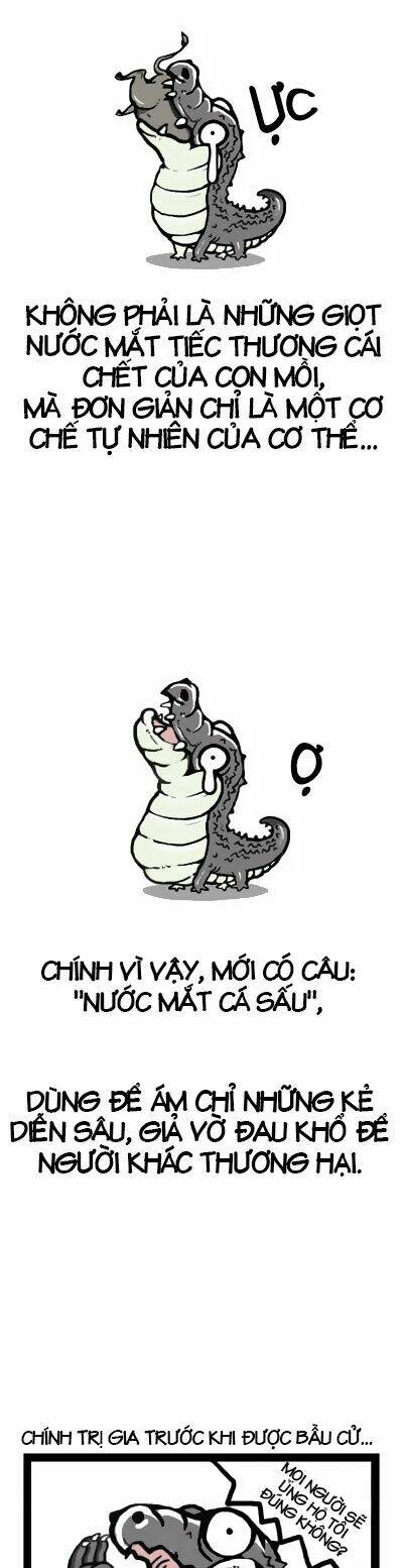 earth, human, and animal chapter 6 12