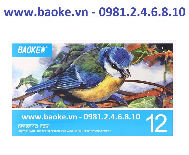 Màu nước Acrylic Baoke WP 801