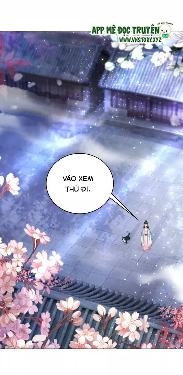 cực phẩm phế vật tiểu thư chapter 105 23