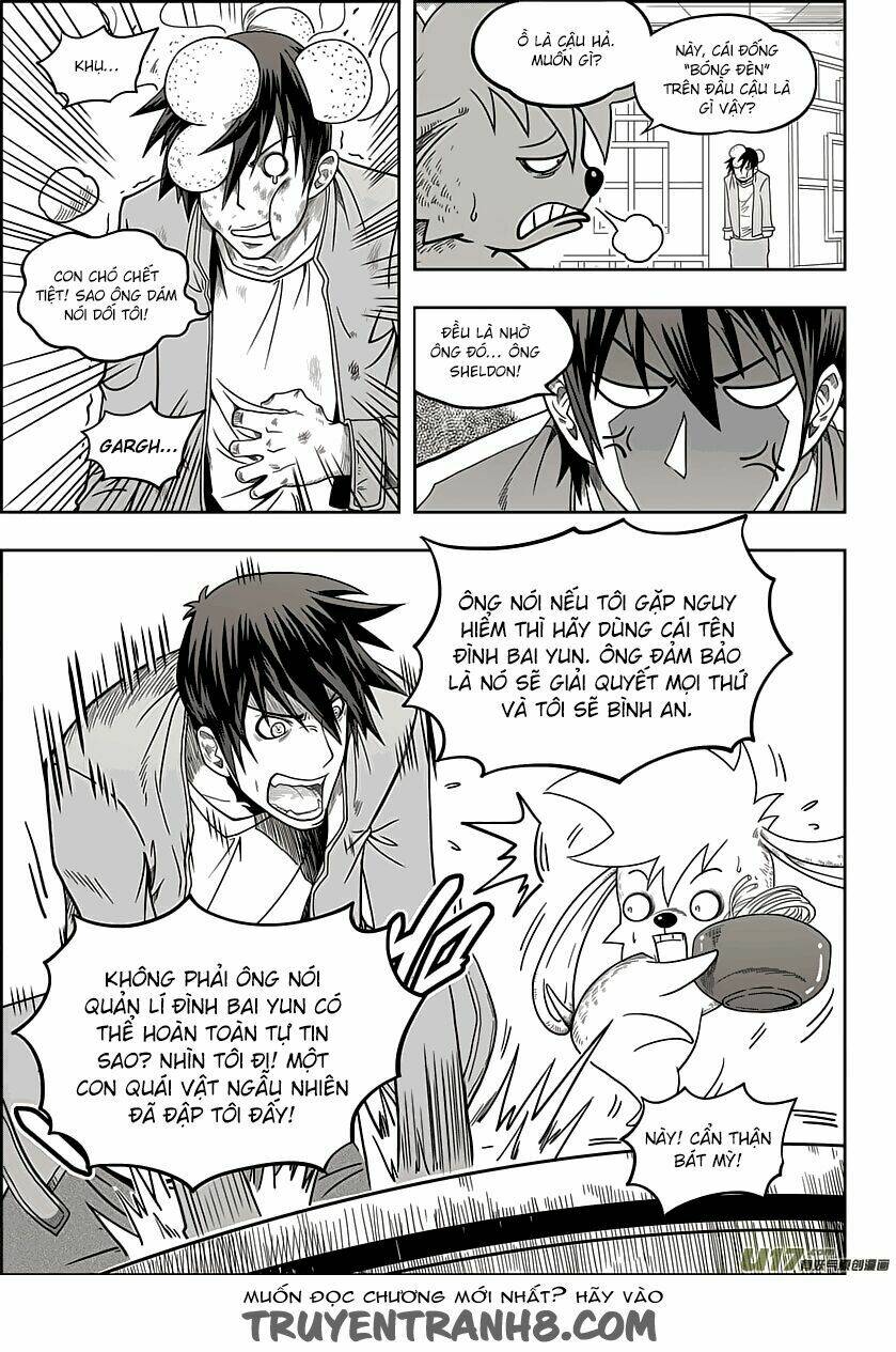 macrophage regulation chapter 8 8