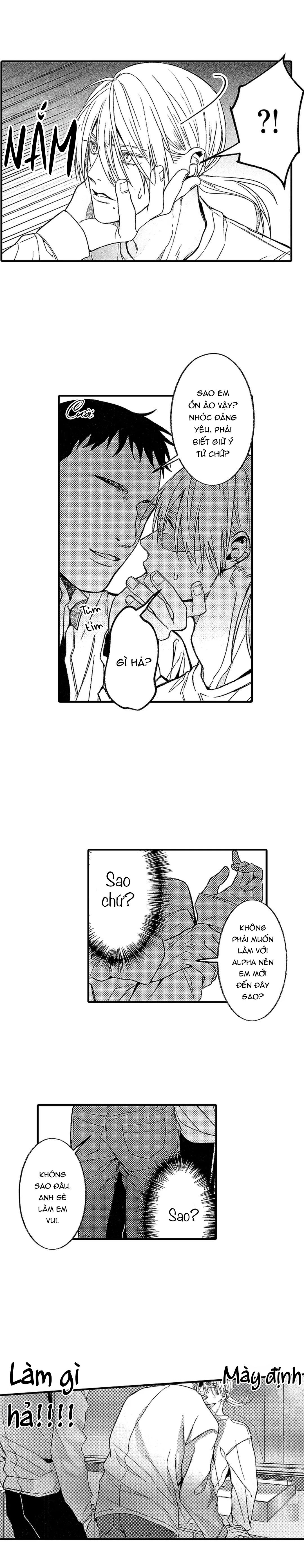 tái sinh thành một omega chapter 6 12