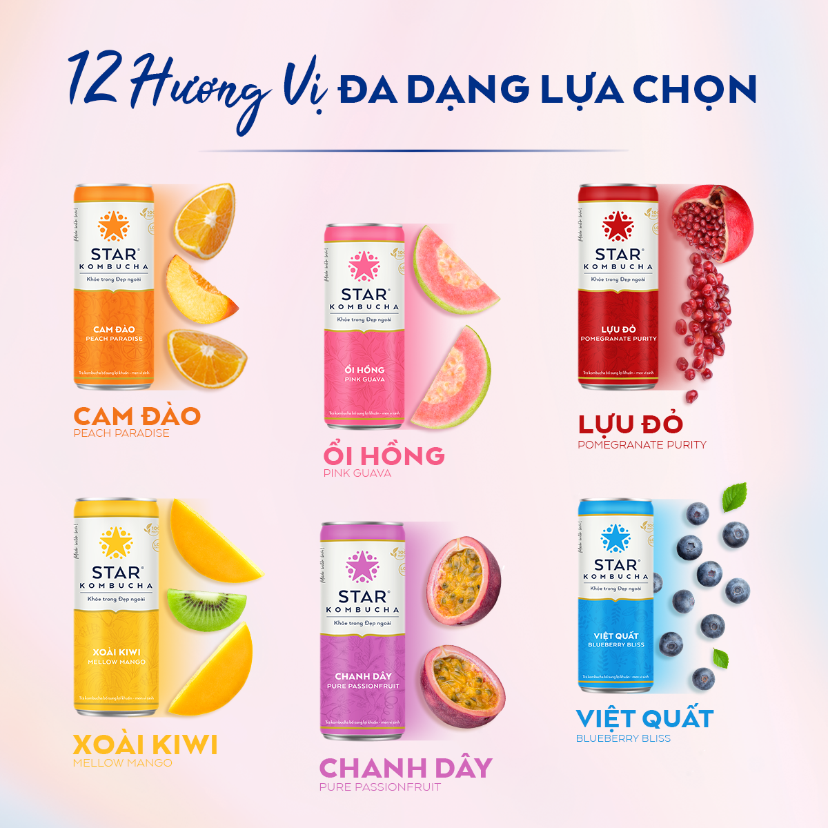 [BAO BÌ XUÂN 2024] Thùng 24 lon trà lên men Star Kombucha mix 4 vị (250ml/lon)