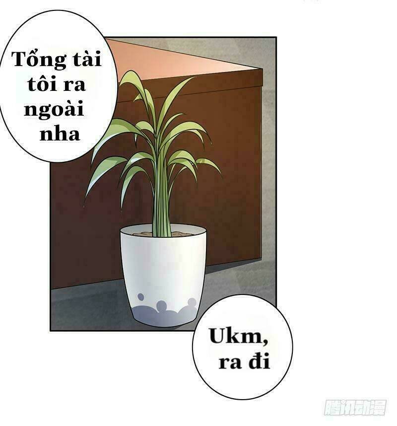 độc sủng tiểu lão bà chapter 15 2