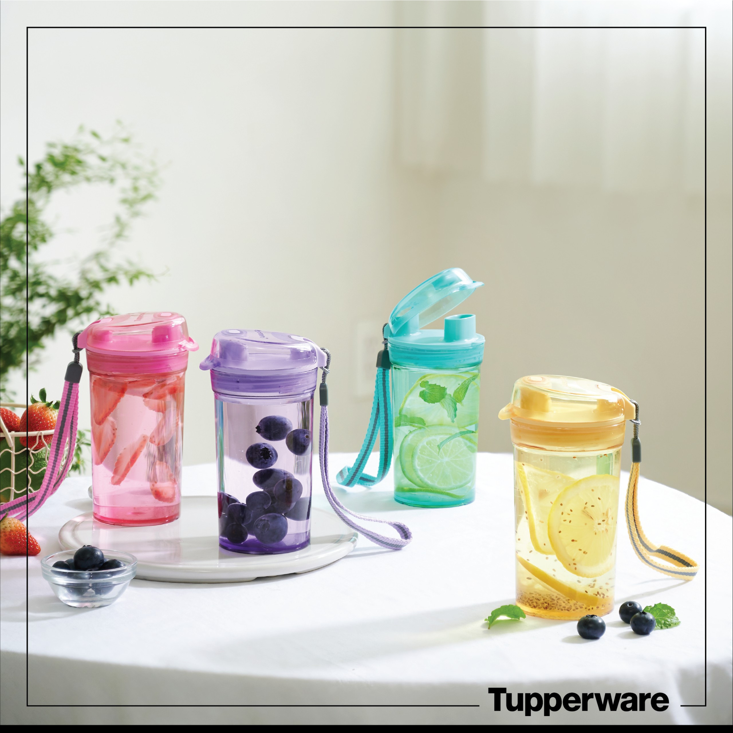 Bình Mini Dringking Flask Tupperware 280ml