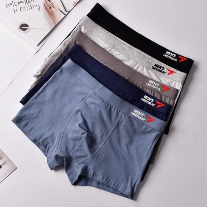 Quần Sịp Đùi Cotton, Quần Lót Nam Boxer Men 'Underwear Nhiều size, 4 Quần Trong 1 Hộp Sang Trọng