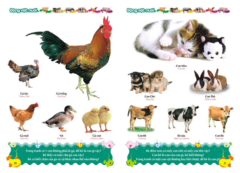 sách : Từ điển tranh về con vật và rau củ quà ( Bìa Cứng)
