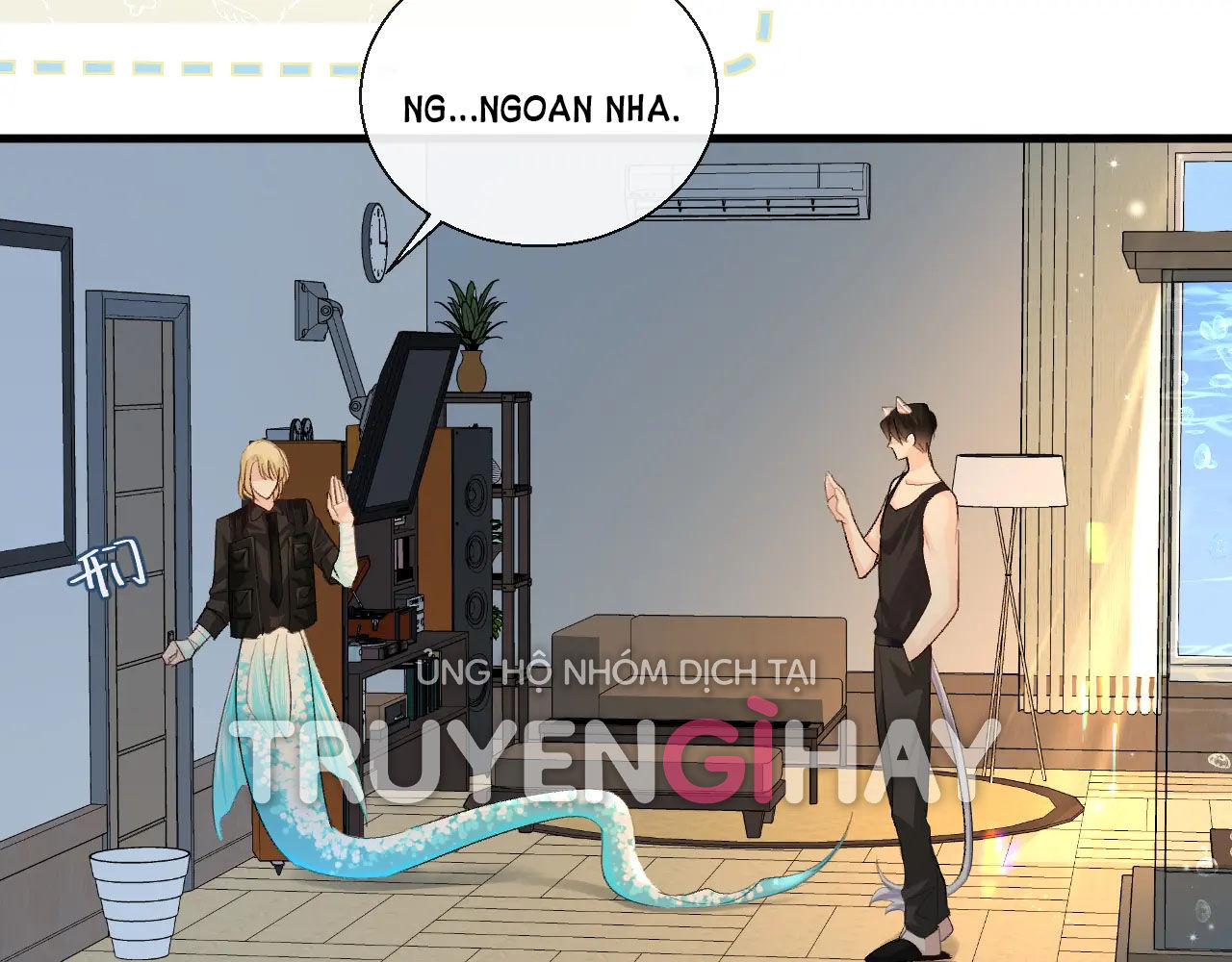 nhân ngư sa ngã chapter 24.2 22