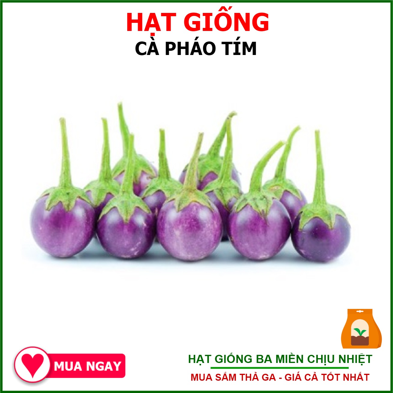 Hạt Giống Cà Pháo Tím F1 Quả Tròn Gói 1gram Sen Vàng
