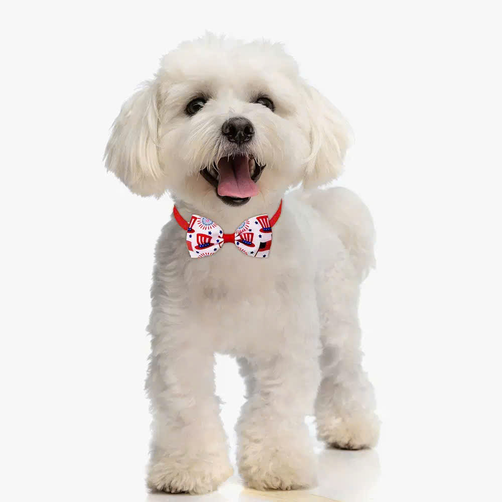 VÒNG CỔ THÚ CƯNG CHÓ MÈO NƠ DỄ THƯƠNG PHONG CÁCH MỸ SIZE 22-37CM MÃ 16 CHO THÚ CƯNG CHÓ MÈO