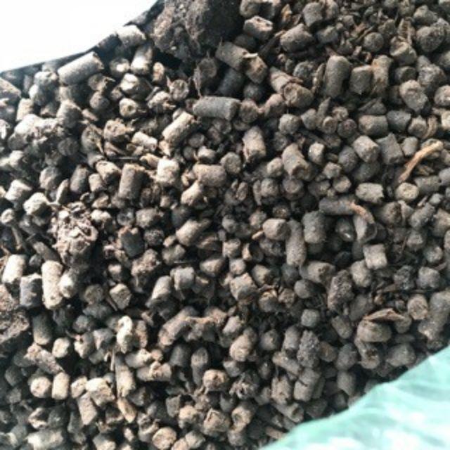 Phân Hữu Cơ Bounce Back Úc Túi 500g