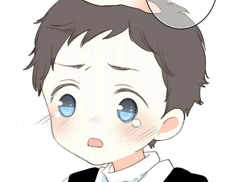 con tim rung động 3 chapter 1 33