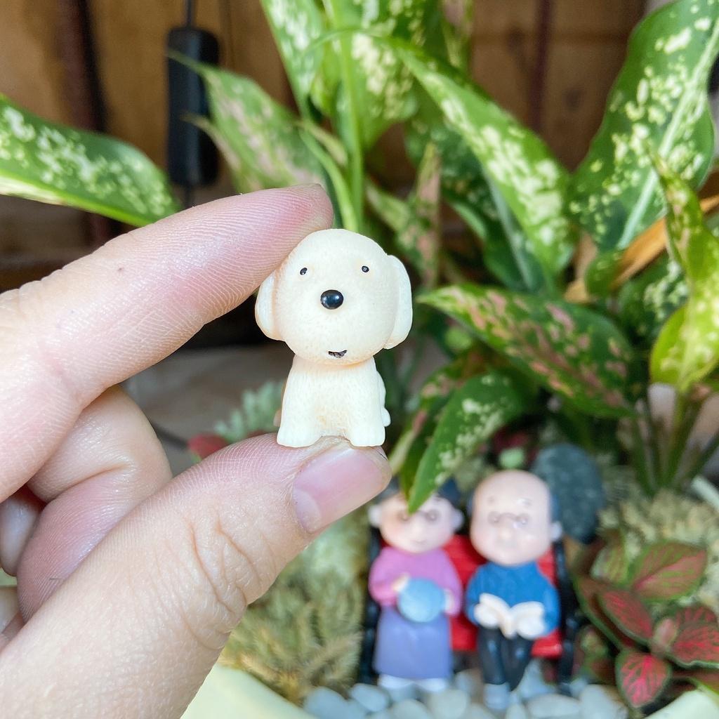 Tiểu cảnh mini ️ Mô hình chó đáng yêu nhiều loại trang trí tiểu cảnh, sen đá, sân vườn, terrarium