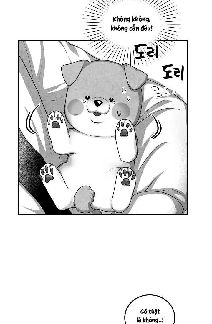 khi cún biết yêu chapter 12 30