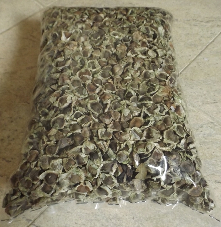 Hạt Chùm Ngây 500gr, 1kg