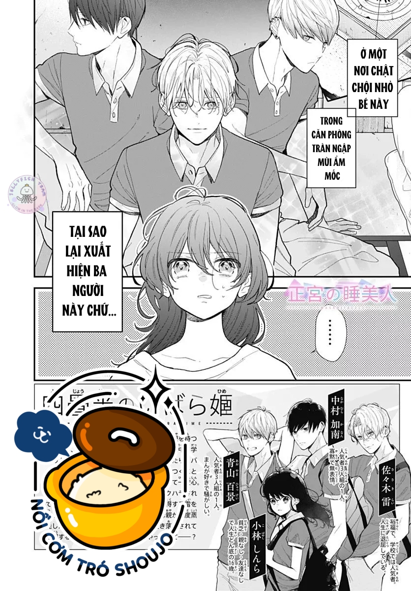 người đẹp ngủ trên chiếu tamaki chapter 3.1 3