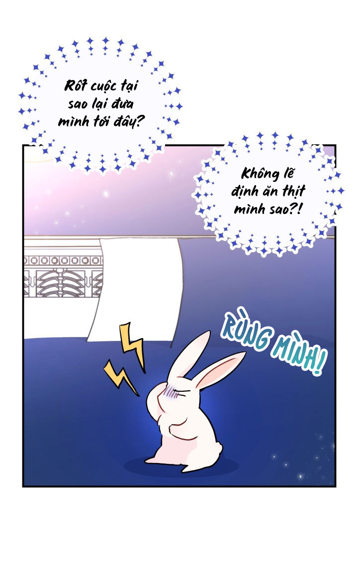 mối liên kết giữa báo đen và bé thỏ chapter 2 8